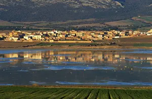 Impresiones de Gallocanta, Laguna de Gallocanta, Aragón (Zaragoza), España Lago Imprime: Gallocanta, Laguna de Gallocanta