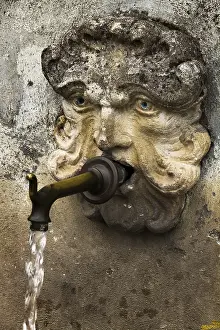 Uninhabited Landscape Imprime: Gargoyle