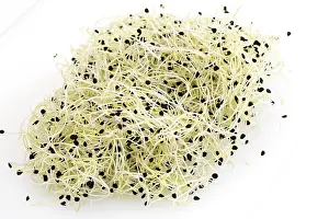 Garlic Sprouts Imprime: Garlic sprouts