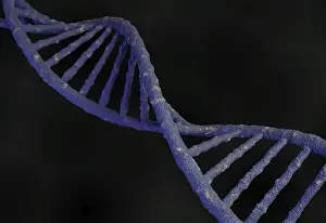 ADN Imprime: Código genético estructura del molécula de ADN. Render 3D.