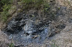 Central Europe Scenery Imprime: Germany, graptolites, Thuringia