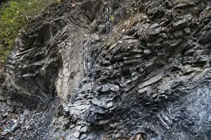 German Nature Park Imprime: Germany, graptolites, Thuringia