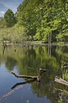 Thuringia Nature Reserve Imprime: Germany, Greiz, Struth, Thuringia