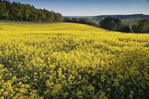 German Landscape Photography Imprime: Germany, Greiz, Thuringia, Thuringia