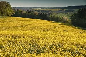 German Farmland Imprime: Germany, Greiz, Thuringia, Thuringia