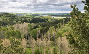 Thuringia Landscape Photography Imprime: Germany, Greiz, Thuringia, Weidatal