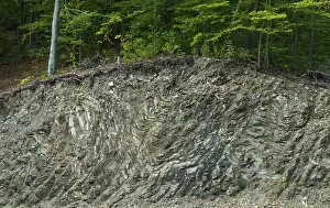 Old Man With Beard Photo Imprime: Germany, Thuringia, Thuringia, geotope