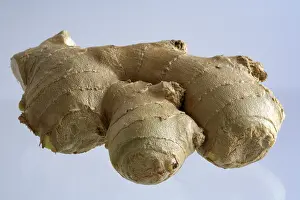 Fresh Ginger Root Imprime: Ginger
