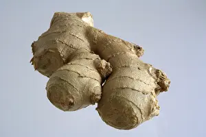 Fresh Ginger Imprime: Ginger
