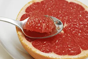 Grapefruit Nutrition Imprime: Grapefruit