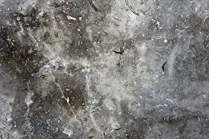 Gray Marble Texture Imprime: Gray marble texture