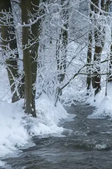 Thuringia Winter Landscape Imprime: Greiz, Thuringia, Triebitzbach