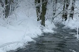 Thuringia Winter Landscape Imprime: Greiz, Thuringia, Triebitzbach