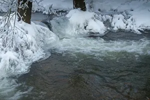 German Winter Scene Imprime: Greiz, Thuringia, Triebitzbach