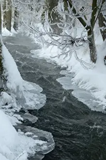 Thuringia Winter Landscape Imprime: Greiz, Thuringia, Triebitzbach
