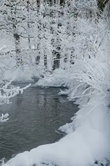 Snowy Winter Landscape Imprime: Greiz, Thuringia, Triebitzbach