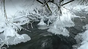 Central Europe Wintry Scenes Imprime: Greiz, Thuringia, Triebitzbach