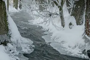 European Wintry Landscape Imprime: Greiz, Thuringia, Triebitzbach