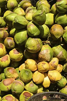 Uninhabited Tropical Landscape Imprime: Group of coconuts