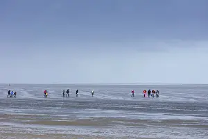 Northern Germany Coastline Scene Imprime: Group of mudflat strollers in mudflat