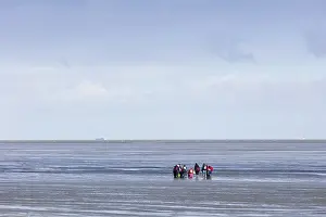 Cuxhaven Germany Imprime: Group of mudflat strollers in mudflat