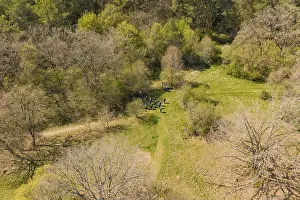 Forest Landscape Imprime: Group of people in the forest, surrounded by trees and grass