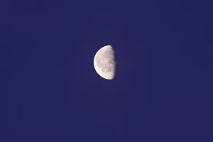 Nocturnal Night View Photo Imprime: Half moon