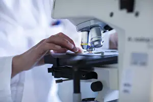 Female Lab Technician Imprime: Hand of a lab technician with microscope and sample working in a lab with light microscope