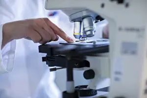 Female Scientist At Work Imprime: Hand of a lab technician with microscope and sample working in a lab with light microscope