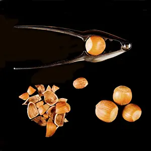 Hazelnut Nutrition Imprime: Hazel nuts with nutcracker