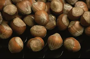 Empty Grocery Store Imprime: Hazelnuts