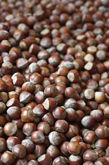 Close Up Hazelnuts Imprime: Hazelnuts