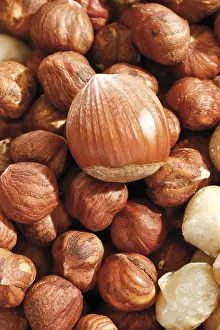 Full Format Food Photography Imprime: Hazelnuts, full format