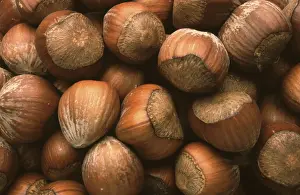 Empty Grocery Store Imprime: Hazelnuts, Hazelnuts