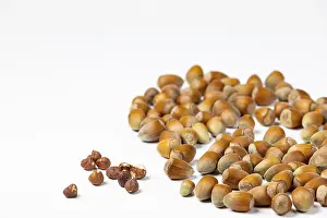 Studio Photography Of Nuts Imprime: Hazelnuts in and without shell