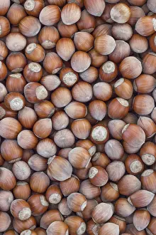 Vegan Grocery List Imprime: Hazelnuts. Stack of hazelnuts. Food background