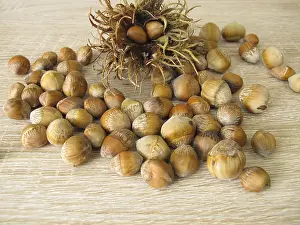 Fruit Stand Imprime: Hazelnuts from the tree hazel in the nutshell and a fruit stand