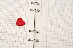 Symbolic Heart Picture Imprime: Heart on a checked notebook