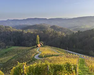 Evening Light Landscape Imprime: 'HerzerlstraBe'