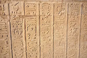 Hieroglyphic Writing System Imprime: Hierogliphic scripts engraved on a wall