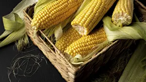 Thai Cuisine Images Imprime: High angle fresh corn composition