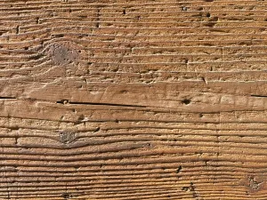 Uninhabited Woods Imprime: Holz