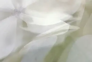 Detailed Petal View Imprime: Hydrangea