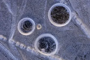 Northern Germany Winter Landscape Imprime: Ice forms in a puddle, abstract
