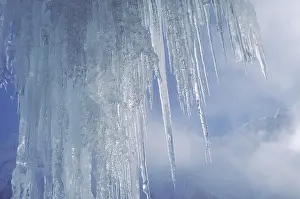 Close Up Icicles Imprime: Icicles