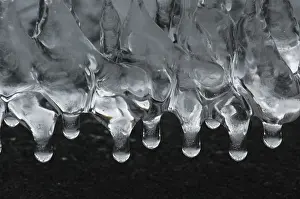 Icicle Close Up Imprime: Icicles