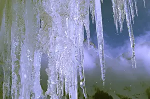 Frozen Winter Scene Imprime: Icicles