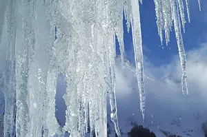 Icicles Close Up Imprime: Icicles