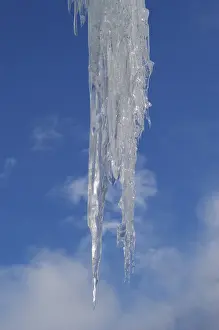 Icicle Close Up Imprime: Icicles