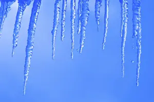 Frozen Landscape Imprime: Icicles